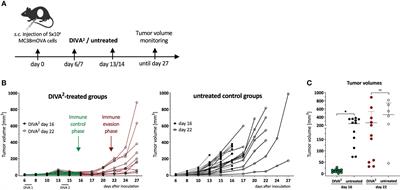 Tumor-infiltrating CCR2+ inflammatory monocytes counteract specific immunotherapy